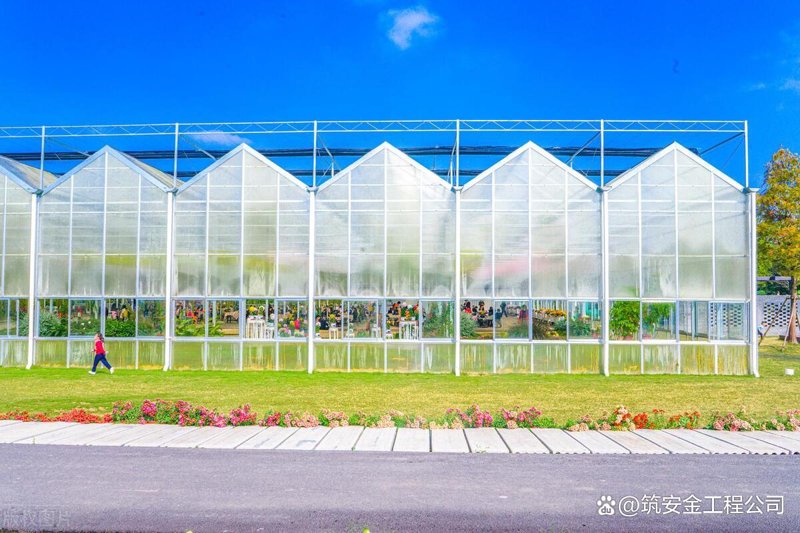 农业新时代:连栋温室如何引领现代农业发展