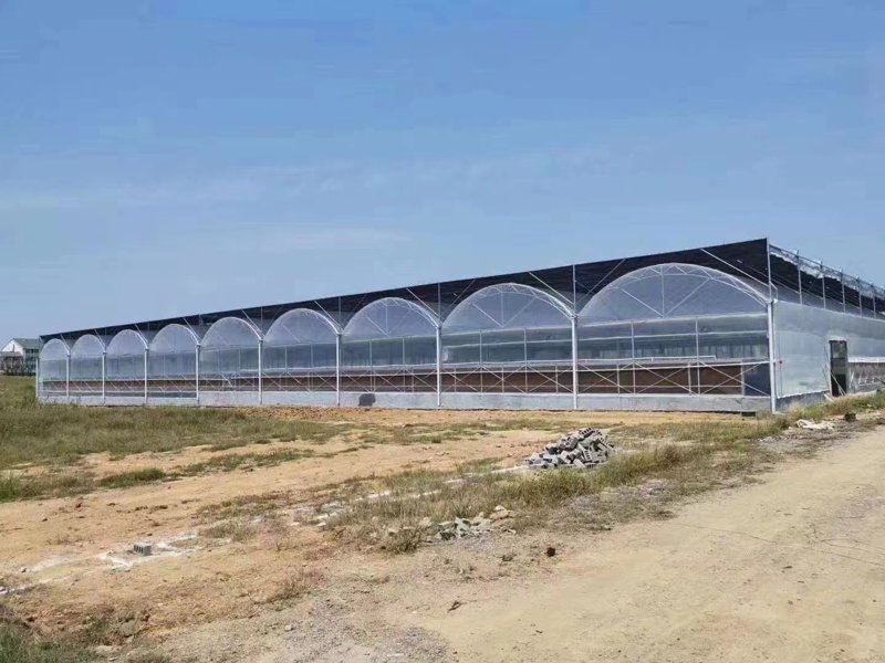 大棚骨架在现代农业中的应用与发展
